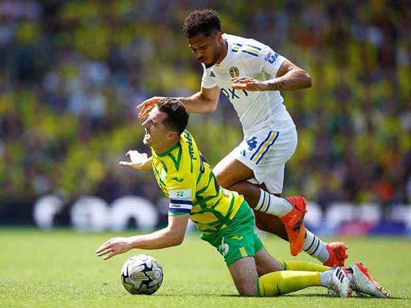 Nhận định bóng đá Leeds vs Norwich, 02h00 ngày 17/5