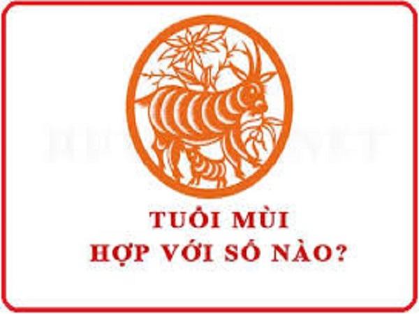 Tại sao con số lại quan trọng với người tuổi Mùi?