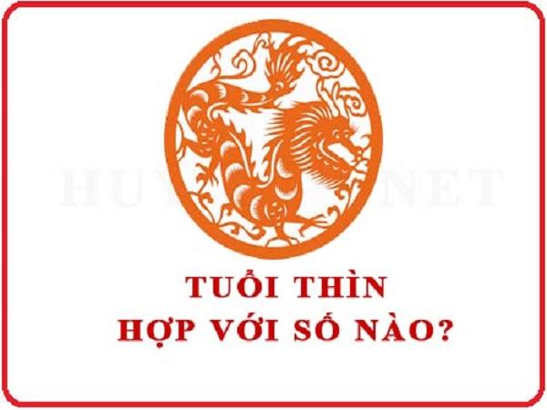 Tại sao con số lại quan trọng với người tuổi Thìn?