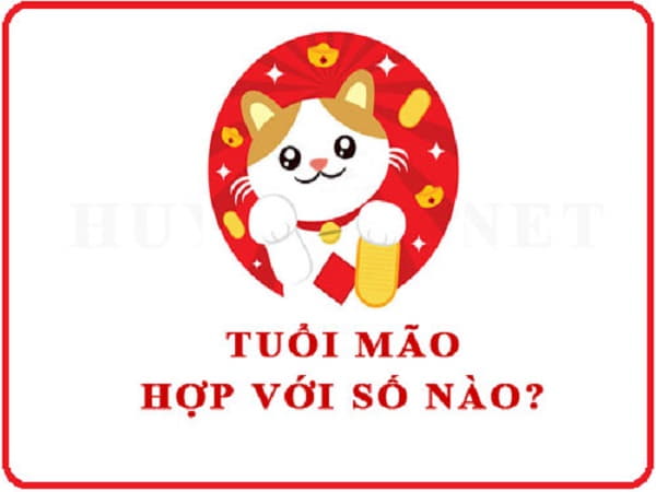 Tại sao con số lại quan trọng với người tuổi Mão?