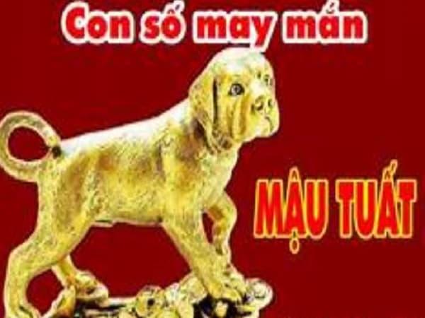 Con số may mắn tuổi Mậu Tuất trong sức khỏe