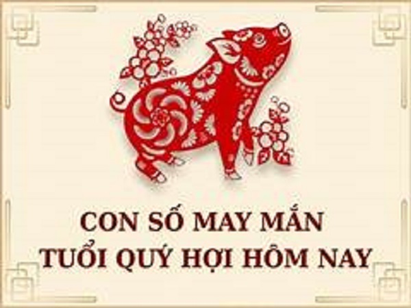 Vậy con số may mắn tuổi Quý Hợi là gì?