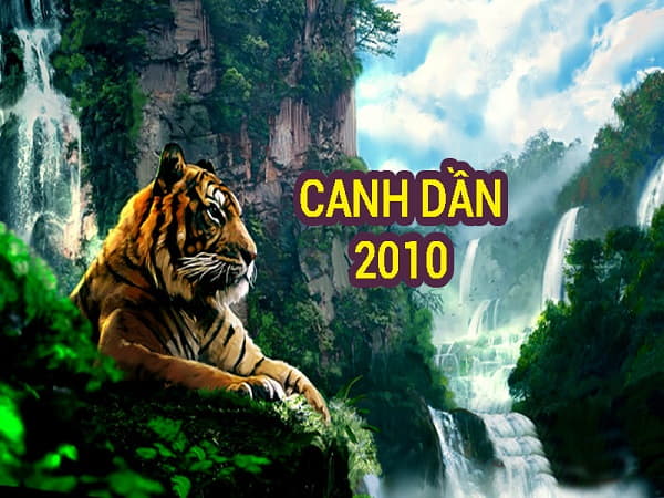 Tuổi Canh Dần - Những con hổ đầy nghị lực